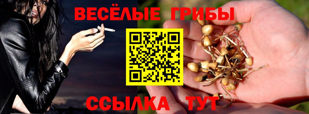 Бузулук  Галлюциногенные грибы Magic Shrooms  Вход с VPN 